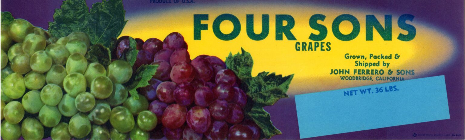 Four Sons